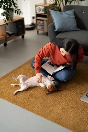 เคล็ดลับกำจัดฝุ่น แก้กลิ่นอับบนพรม