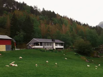 แนวคิด "บ้านน้อยพอเพียง" กับการใช้ชีวิตแบบเรียบง่าย