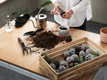 เนรมิตมุมสุขสันต์ ด้วยการจัดสวนเล็กๆ ในบ้าน เพิ่มความสุขให้ชีวิต