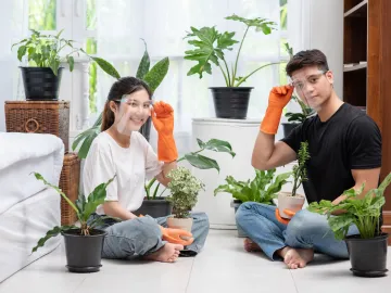 ปลูกต้นไม้ในบ้านให้รอด! รวมพรรณไม้ดูแลง่าย มือใหม่ก็เลี้ยงได้สบาย