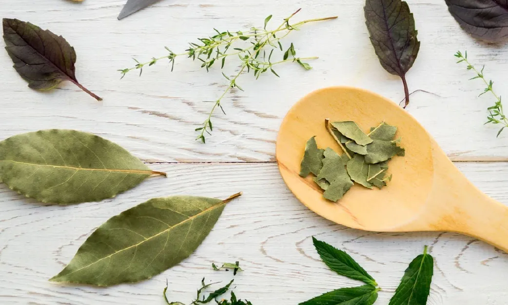 วิธีทำให้บ้านปลอดภัยจากสัตว์ร้าย ด้วยสมุนไพรธรรมชาติ และสารกันสัตว์ไร้สารเคมี